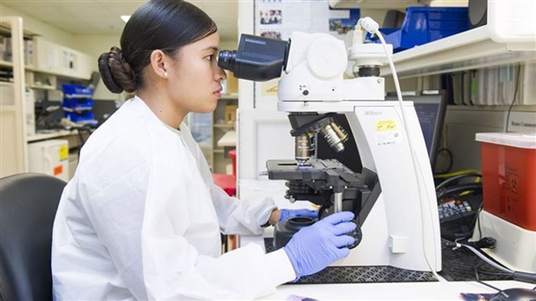 Τεχνολόγος ιατρικών εργαστηρίων