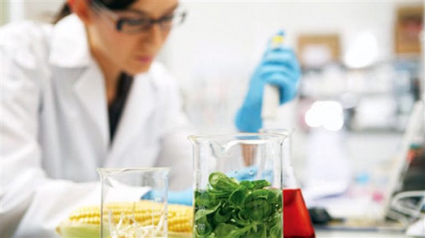 Τεχνολόγος τροφίμων